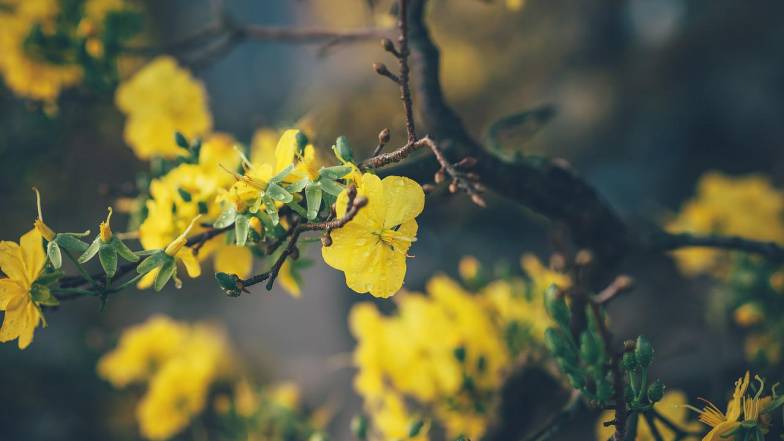 Погода в Запоріжжі на четвер, 23 червня Погода в Запоріжжі на четвер, 23 червня