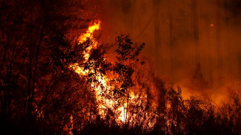 Інноваційний метод виявляє сліди вогню, який був 800 тисяч років тому Інноваційний метод виявляє сліди вогню, який був 800 тисяч років тому
