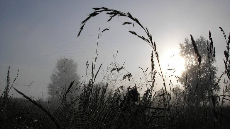 Погода в Україні на п'ятницю, 5 серпня Погода в Україні на п'ятницю, 5 серпня