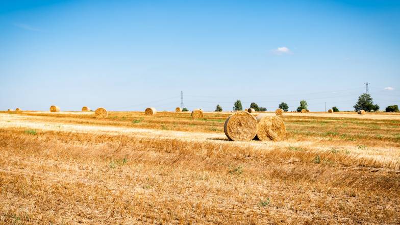 Прогноз погоди в Україні на вихідні: 6 – 7 серпня 2022 Прогноз погоди в Україні на вихідні: 6 – 7 серпня 2022