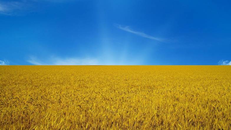 На День Государственного Флага в Украине ожидается жаркая погода На День Государственного Флага в Украине ожидается жаркая погода