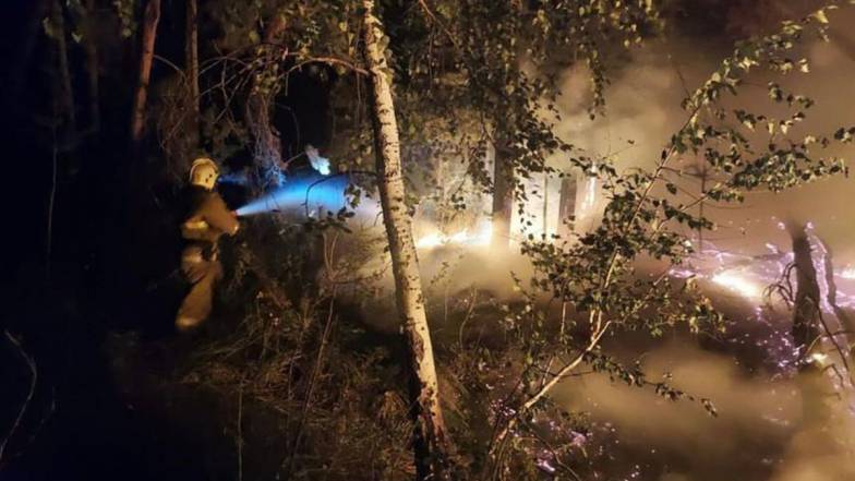 У Казахстані лісові пожежі охопили рекордні 43 тисячі гектарів землі У Казахстані лісові пожежі охопили рекордні 43 тисячі гектарів землі