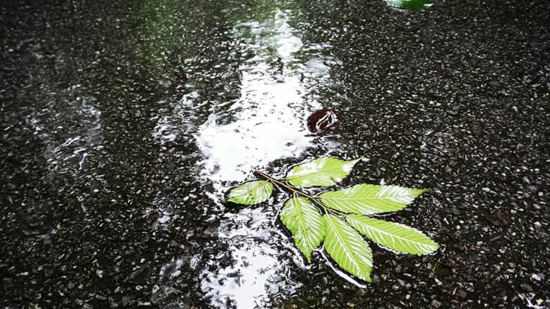 Погода во Львове на пятницу, 9 сентября Погода во Львове на пятницу, 9 сентября