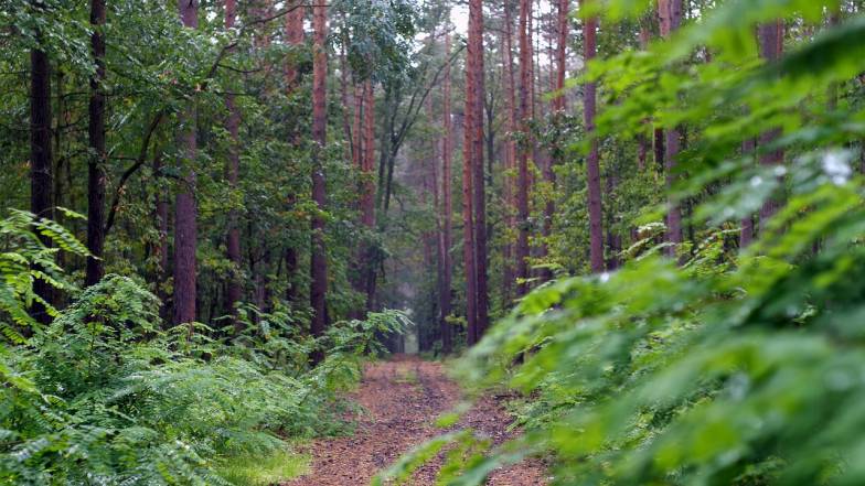 Погода в Харькове на четверг, 15 сентября Погода в Харькове на четверг, 15 сентября