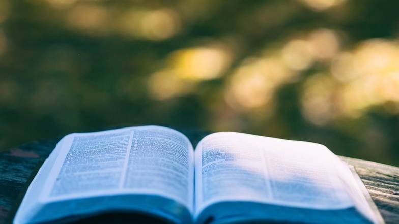 К чему снится книга: значение, толкование К чему снится книга: значение, толкование