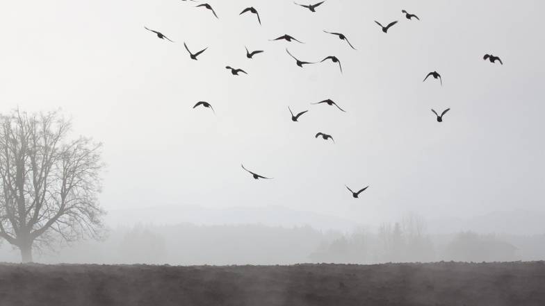 Выходные в ноябре 2022 в Украине Выходные в ноябре 2022 в Украине