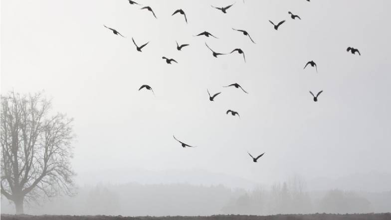Погода в Харькове на среду, 9 ноября Погода в Харькове на среду, 9 ноября