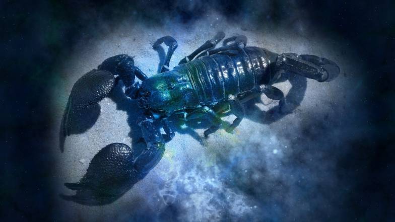 Astrologové pojmenovali znamení Zvěrokruhu, které jsou chráněny karmou předků Astrologové pojmenovali znamení Zvěrokruhu, které jsou chráněny karmou předků