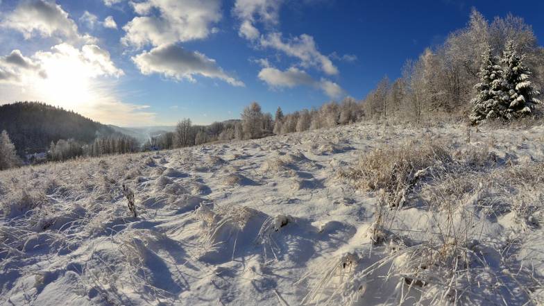 Погода у Львові на неділю, 20 листопада Погода у Львові на неділю, 20 листопада