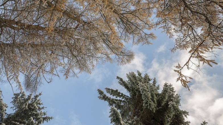 Погода в Украине на среду, 23 ноября Погода в Украине на среду, 23 ноября