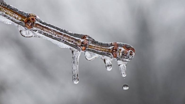 Погода в Одессе на пятницу, 2 декабря Погода в Одессе на пятницу, 2 декабря