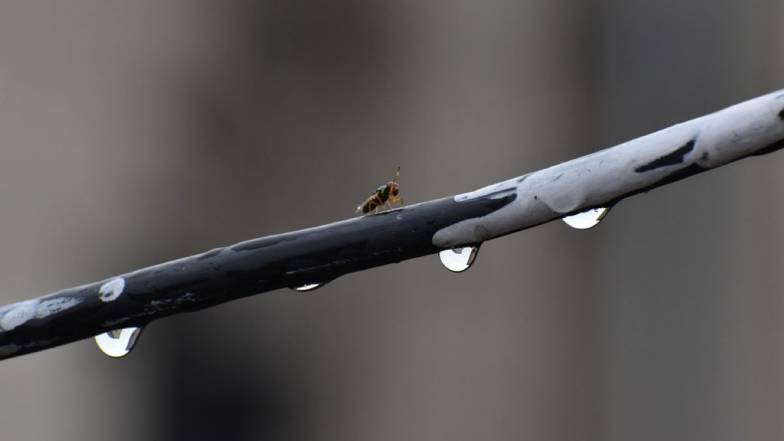 Погода во Львове на субботу, 10 декабря Погода во Львове на субботу, 10 декабря