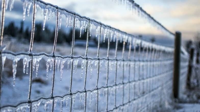 Погода у Львові на вівторок, 20 грудня Погода у Львові на вівторок, 20 грудня
