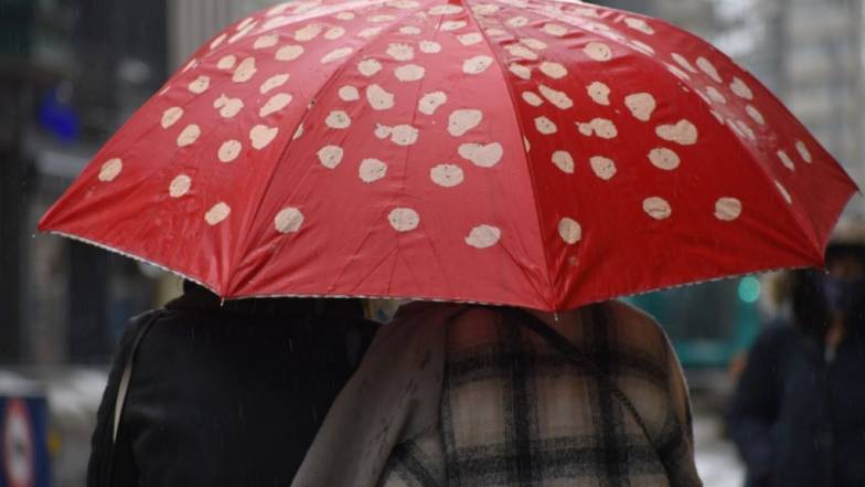 Погода у Львові на неділю, 25 грудня Погода у Львові на неділю, 25 грудня
