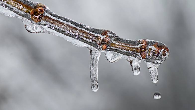 Погода у Львові на суботу, 14 січня Погода у Львові на суботу, 14 січня