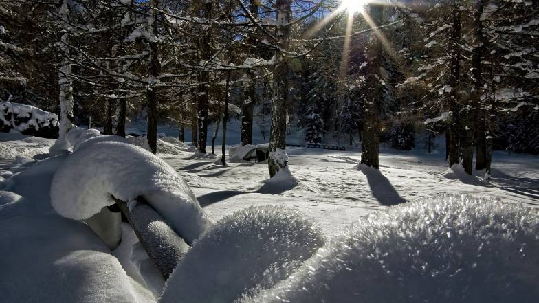 Погода в Харкові на вівторок, 24 січня Погода в Харкові на вівторок, 24 січня