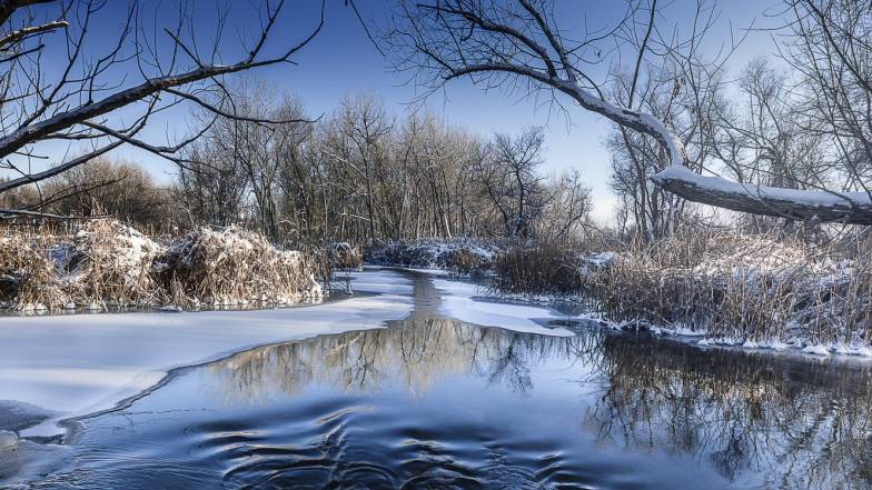 Погода в Києві на неділю, 29 січня Погода в Києві на неділю, 29 січня