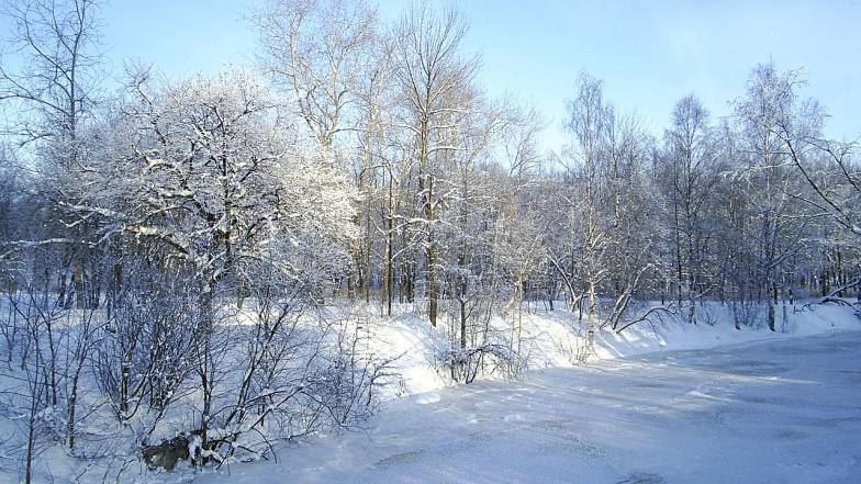 Погода в Одесі на понеділок, 13 лютого Погода в Одесі на понеділок, 13 лютого