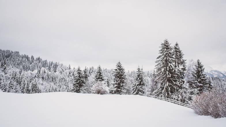 Погода в Харкові на неділю, 19 лютого Погода в Харкові на неділю, 19 лютого