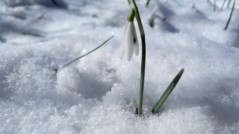 Погода у Києві на четвер, 9 березня Погода у Києві на четвер, 9 березня