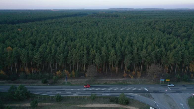 Супутникові знімки допомагають відстежувати «озеленення» лісу на тлі зміни клімату Супутникові знімки допомагають відстежувати «озеленення» лісу на тлі зміни клімату
