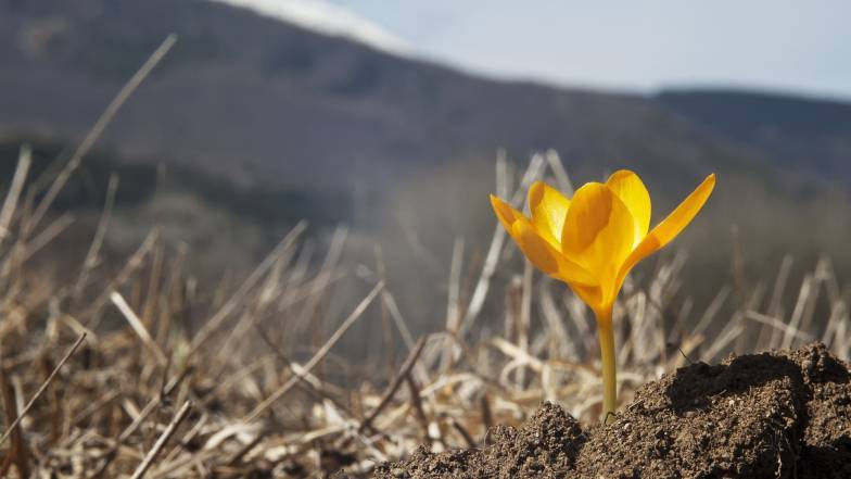 Погода в Украине на пятницу, 31 марта Погода в Украине на пятницу, 31 марта