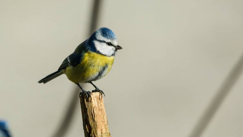 У перші дні квітня Україну накриють дощі У перші дні квітня Україну накриють дощі