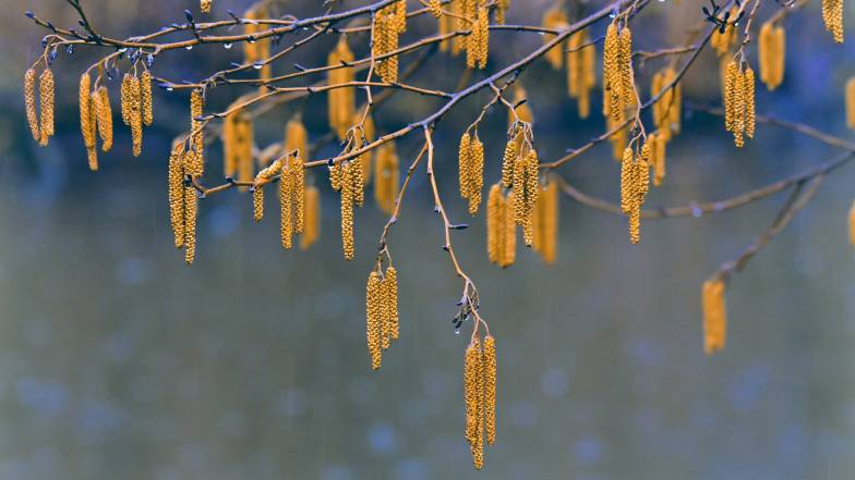 Огляд погодних умов в Україні на тиждень: 3 – 9 квітня 2023 Огляд погодних умов в Україні на тиждень: 3 – 9 квітня 2023