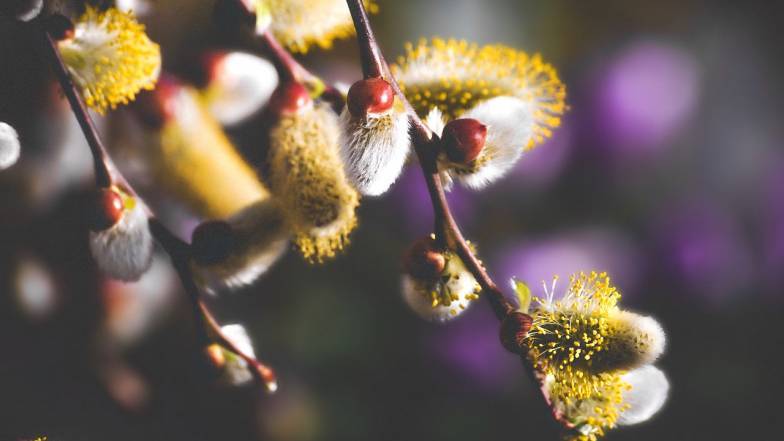 На смену тёплой и дождливой погоде в Украину придет небольшое похолодание