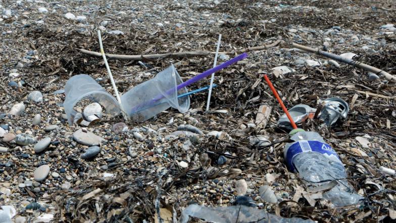 В Австралії відкрили природний спосіб розкладання пластику за 4 місяці В Австралії відкрили природний спосіб розкладання пластику за 4 місяці