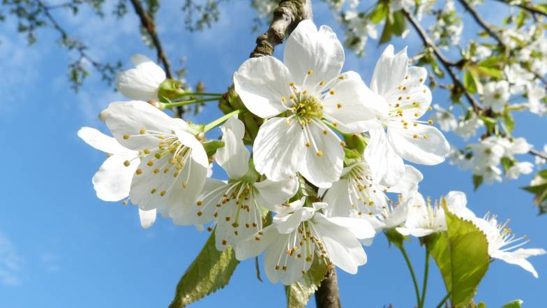 Прогноз погоди в Україні на вихідні: 29 – 30 квітня 2023 Прогноз погоди в Україні на вихідні: 29 – 30 квітня 2023