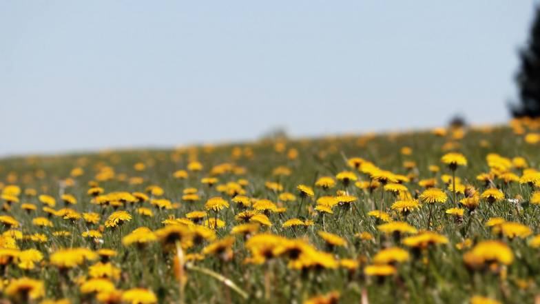 Погода в Харкові на вівторок, 9 травня Погода в Харкові на вівторок, 9 травня