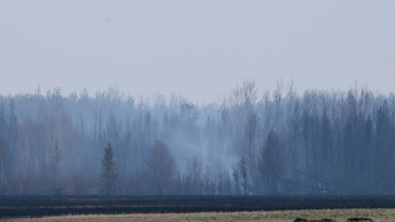 Дим від лісових пожеж у Канаді затуманив небо над великими містами на сході США Дим від лісових пожеж у Канаді затуманив небо над великими містами на сході США
