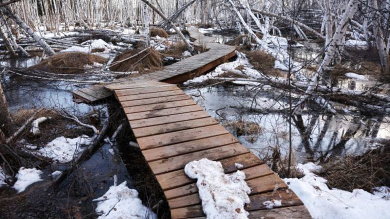 Великий крижаний затор і танення снігу спричинили сильну повінь на Алясці Великий крижаний затор і танення снігу спричинили сильну повінь на Алясці