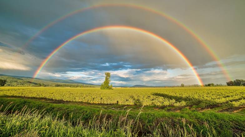 https://cdn.meteoprog.net/thumbnails/newsweather/cropr_784x441/big_622120.jpg?1685437903