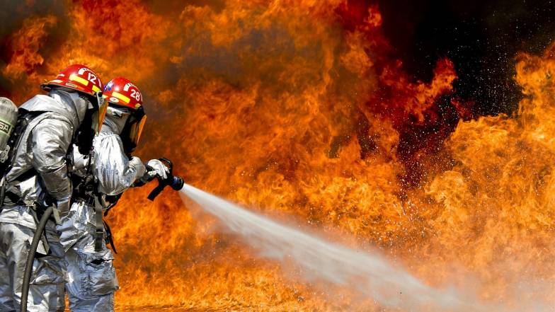 Тисячі пожежників зараз намагаються ліквідувати понад 200 лісових пожеж по всій Канаді Тисячі пожежників зараз намагаються ліквідувати понад 200 лісових пожеж по всій Канаді