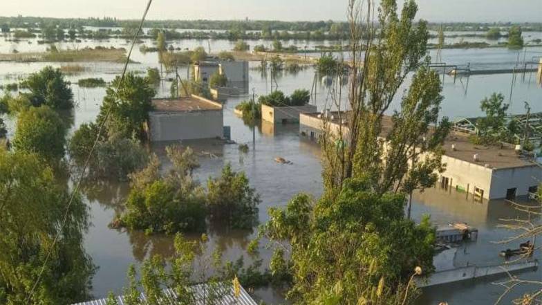 Після руйнування Каховської ГЕС єдиний в Україні державний осетровий завод був повністю затоплений Після руйнування Каховської ГЕС єдиний в Україні державний осетровий завод був повністю затоплений