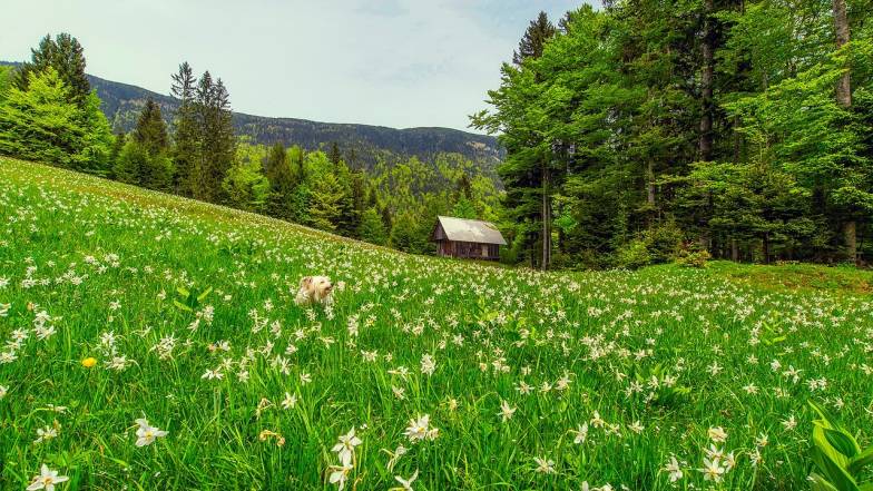 Наприкінці третьої декади червня на українців чекає нестійка погода Наприкінці третьої декади червня на українців чекає нестійка погода
