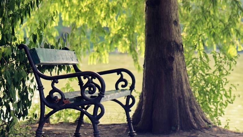 Погода в Україні на вівторок, 4 липня Погода в Україні на вівторок, 4 липня