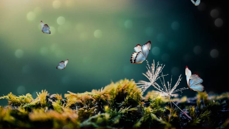 Ideální hostesky: astrologové pojmenovali 3 znamení Zvěrokruhu, která zbožňují čistotu Ideální hostesky: astrologové pojmenovali 3 znamení Zvěrokruhu, která zbožňují čistotu