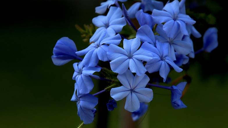 Погода у Києві на п'ятницю, 14 липня Погода у Києві на п'ятницю, 14 липня