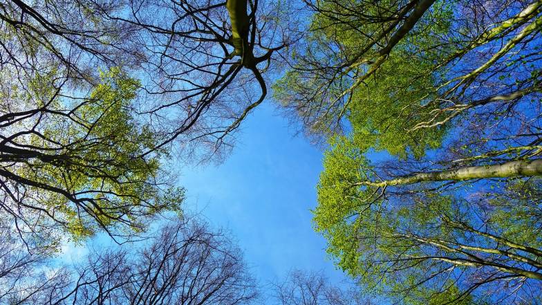 Погода в Харкові на неділю, 16 липня Погода в Харкові на неділю, 16 липня