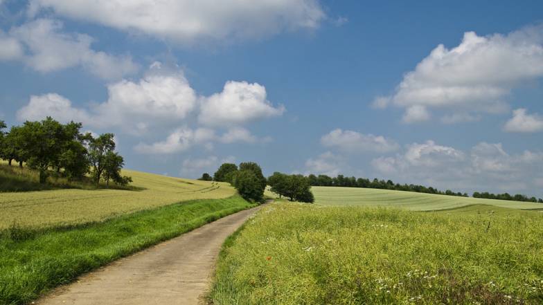 Ближе к выходным погода в Украине наконец стабилизируется Ближе к выходным погода в Украине наконец стабилизируется