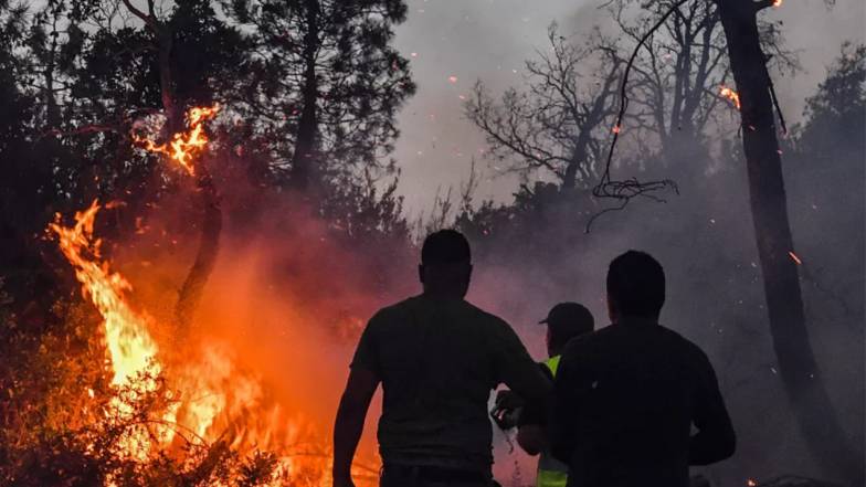 Лісові пожежі в Алжирі забрали життя щонайменше 34 чоловік Лісові пожежі в Алжирі забрали життя щонайменше 34 чоловік
