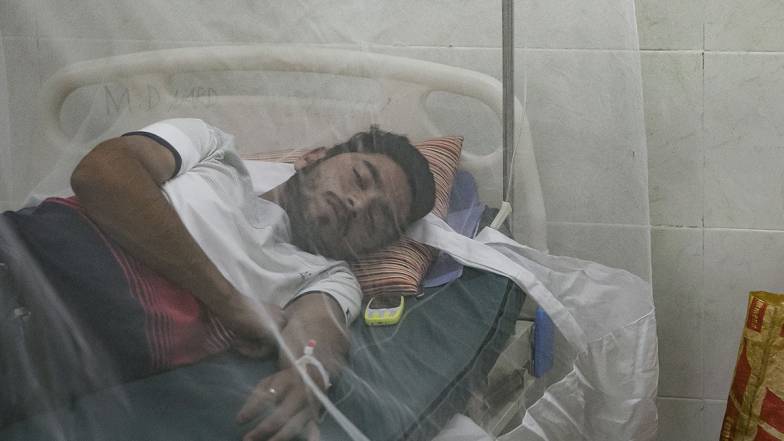 Цього року кількість випадків захворювання на лихоманку денге може різко зрости Цього року кількість випадків захворювання на лихоманку денге може різко зрости