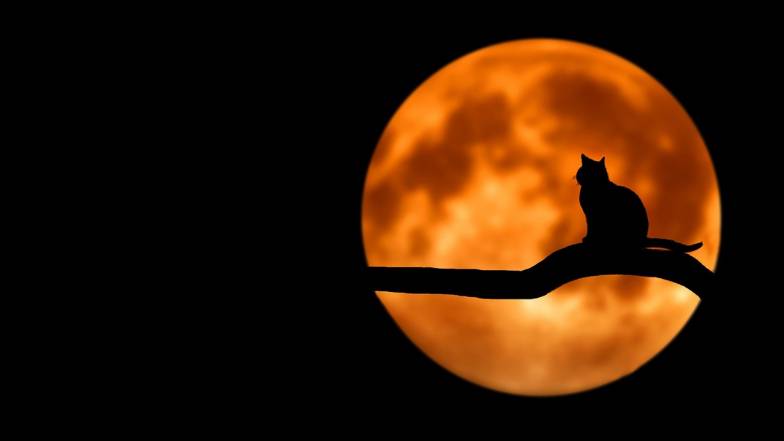Trei semne Zodiacale care vor avea noroc la toate în timpul Lunii pline Trei semne Zodiacale care vor avea noroc la toate în timpul Lunii pline