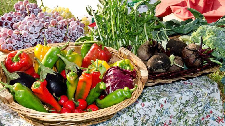 Vor crește o recoltă bogată: astrologi au numit 3 semne Zodiacale ale grădinarilor ideali Vor crește o recoltă bogată: astrologi au numit 3 semne Zodiacale ale grădinarilor ideali