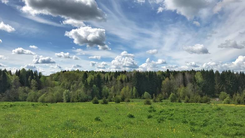 Погода в Україні на вівторок, 8 серпня Погода в Україні на вівторок, 8 серпня