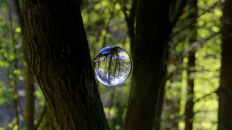 Astrologové pojmenovali tři znamení Zvěrokruhu, která nesnášejí nakupování Astrologové pojmenovali tři znamení Zvěrokruhu, která nesnášejí nakupování