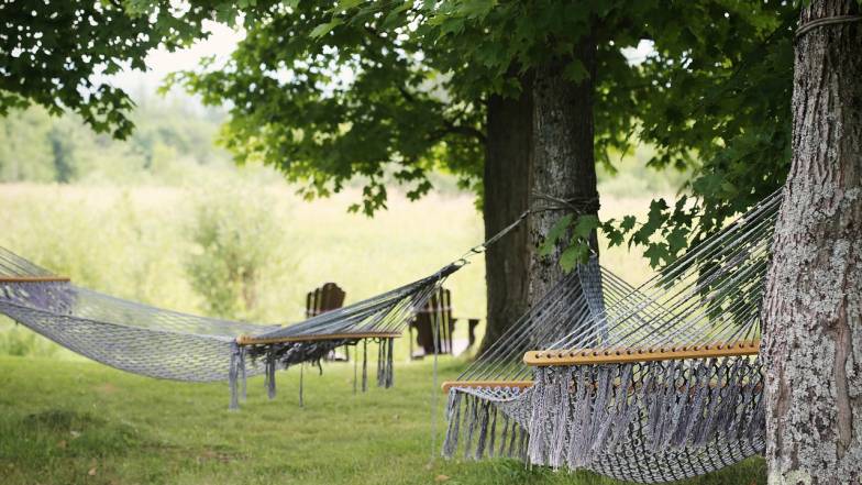 Trei semne Zodiacale ar trebui să stea acasă astăzi Trei semne Zodiacale ar trebui să stea acasă astăzi
